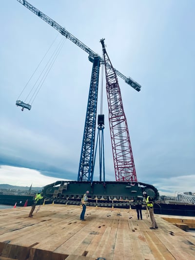 52793250146_c33819d9e8_o